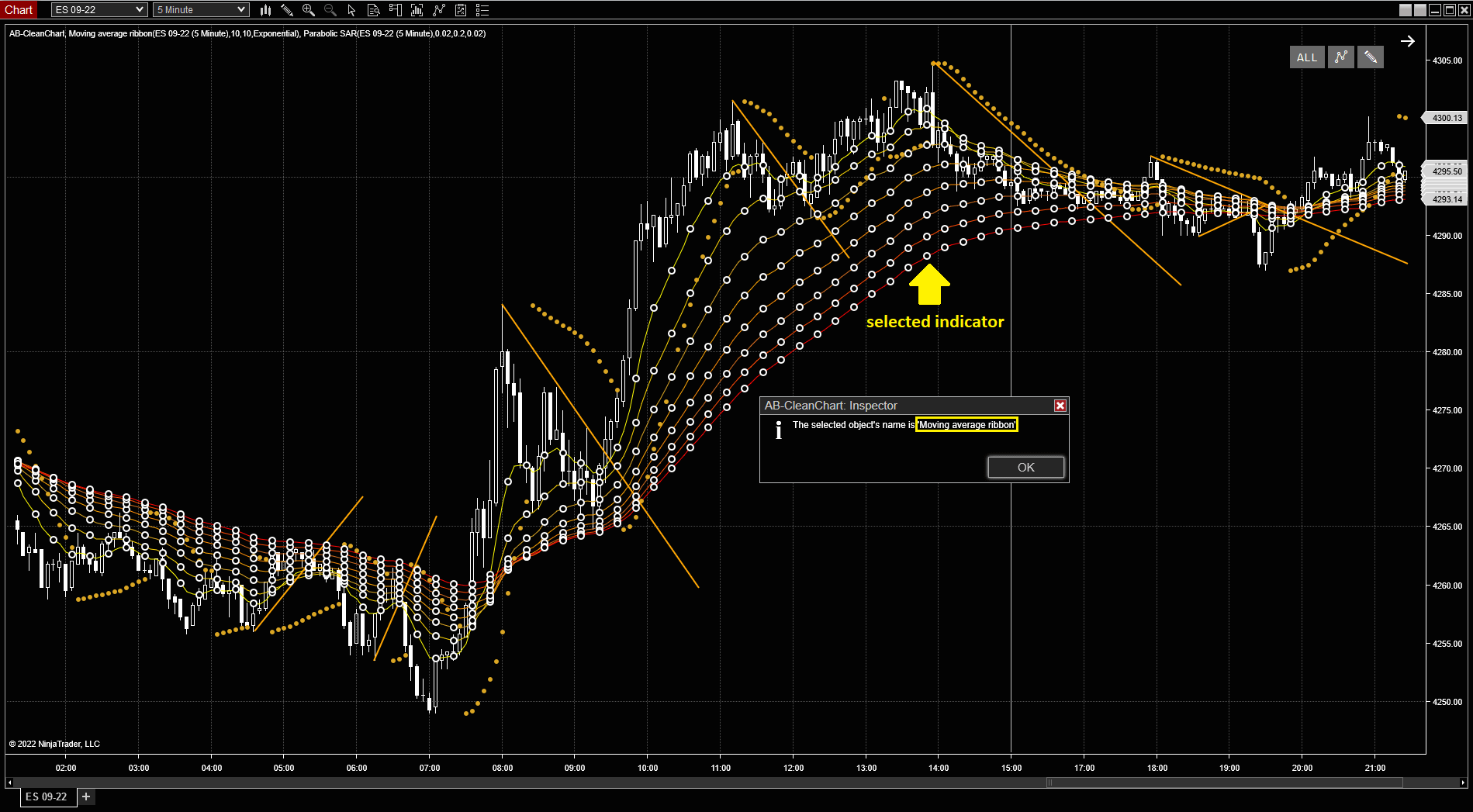 Exclusions: Inspector